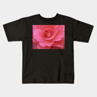 frilly dark and light pink begonia plant in closeup glowing to show petal veins Kids T-Shirt